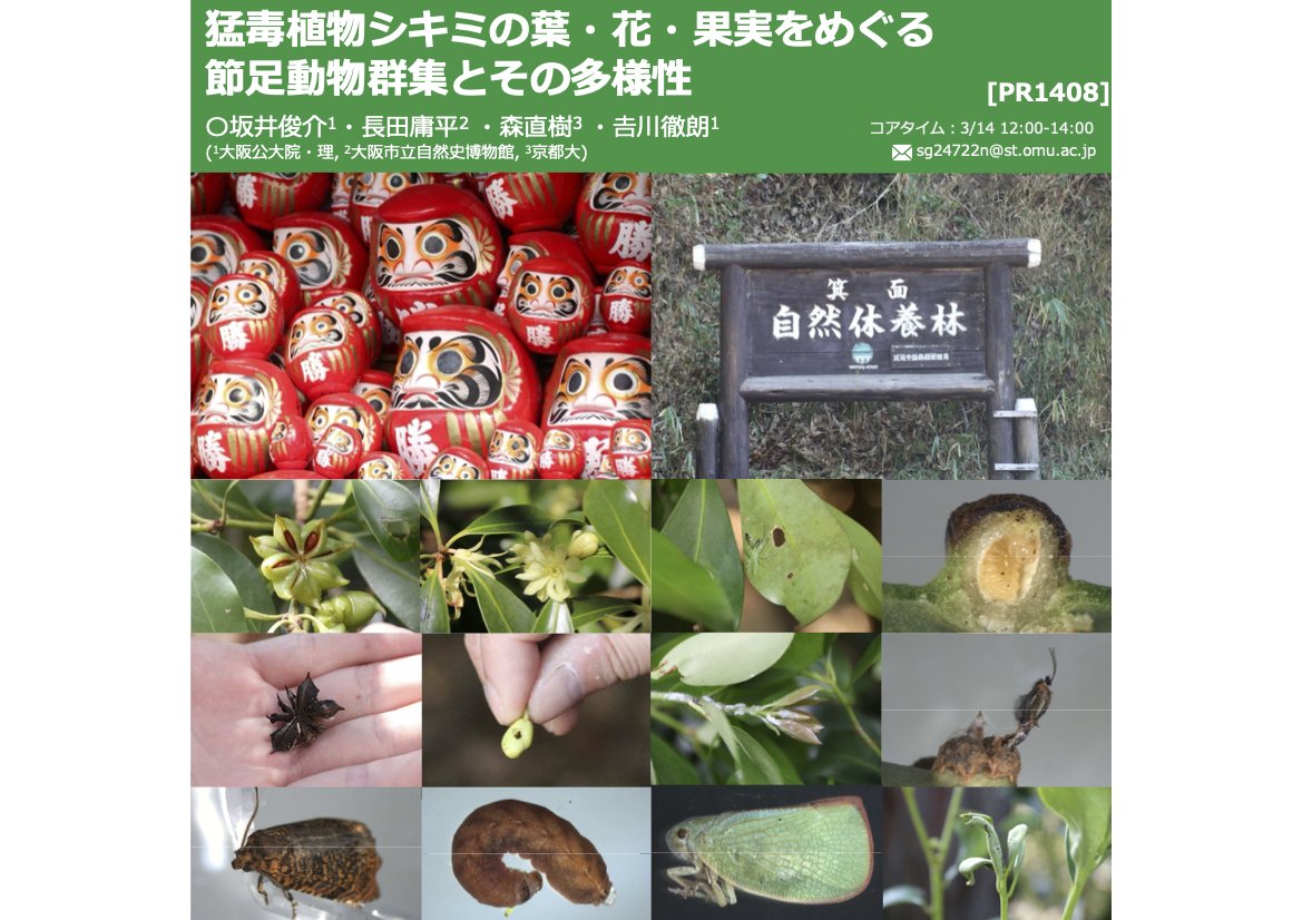 Laboratory of Animal Sociology, OMU, JPN tweet media