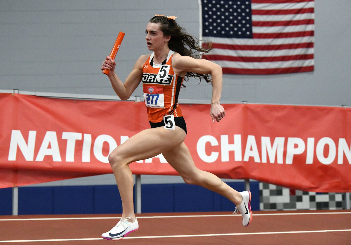 Doane Tigers 🐯 tweet media