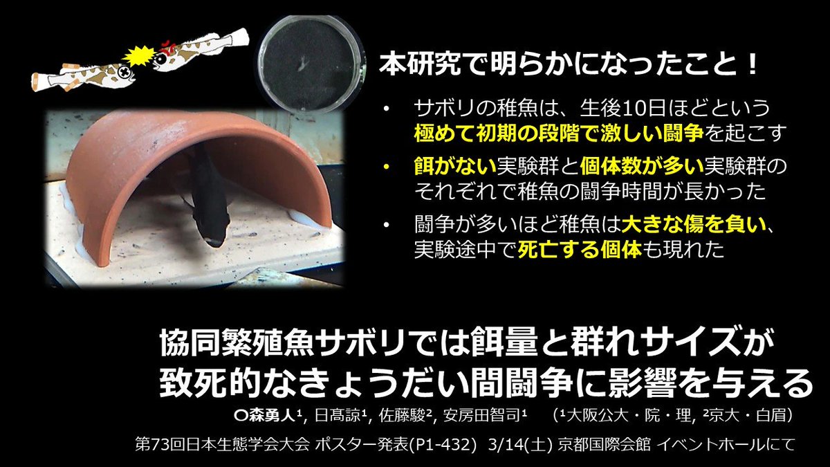 Laboratory of Animal Sociology, OMU, JPN tweet media