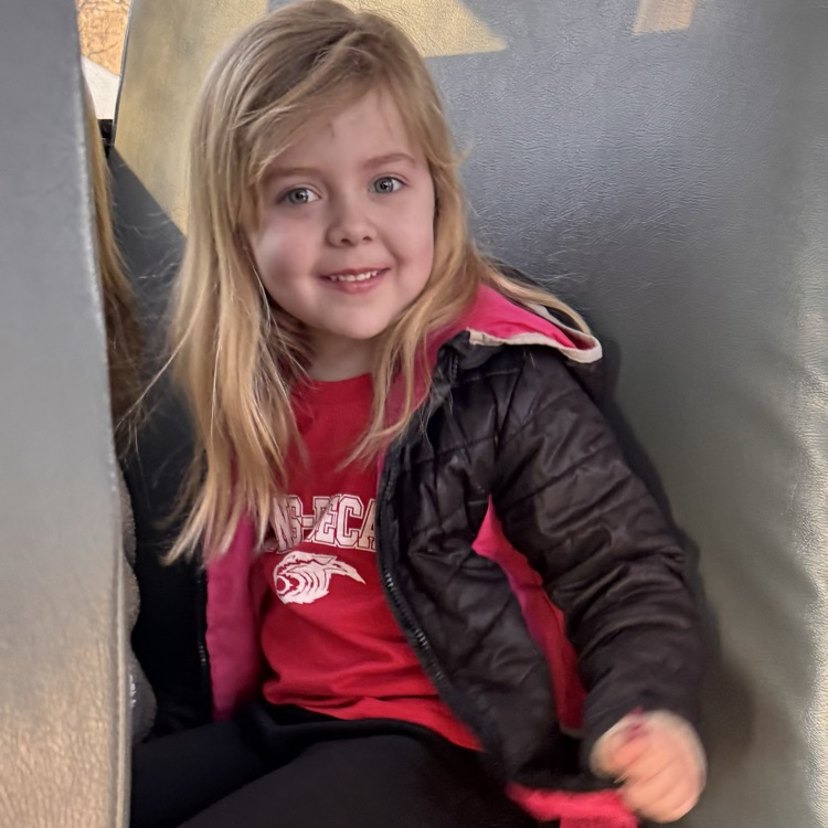 Lyons Decatur tweet media