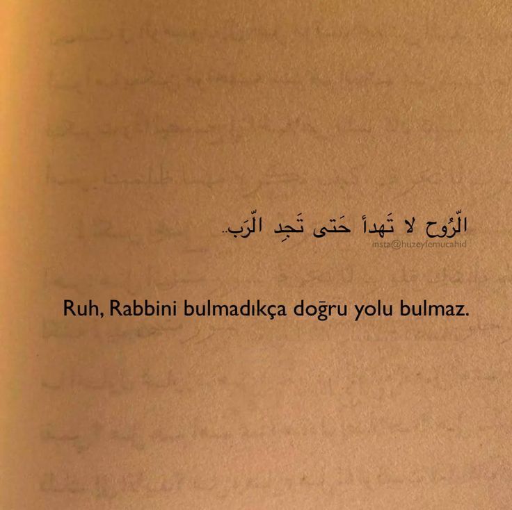 digerkm's tweet photo. Ruh, Rabbini bulmadıkça doğru yolu bulmaz. https://t.co/7DWhWxfegG