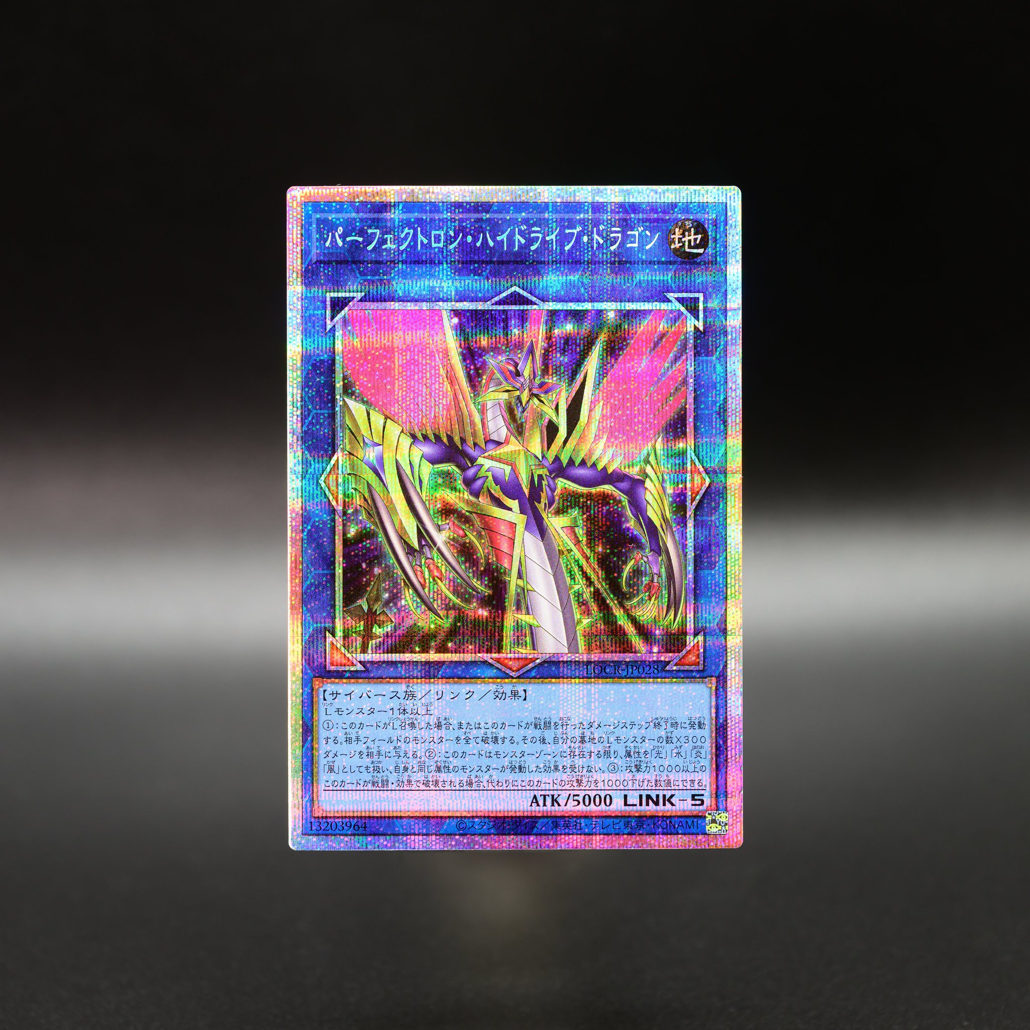 遊戯王　ロン様　確認用 HDA7gidagAA57G7.jpg:large