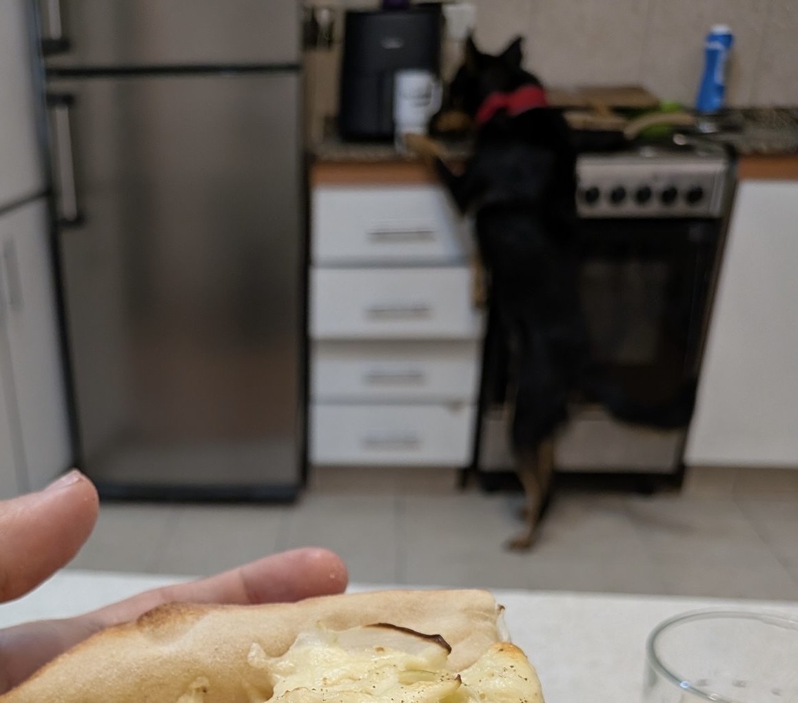Claro, así cualquiera come sano, si tenes un perro que te cocina todo