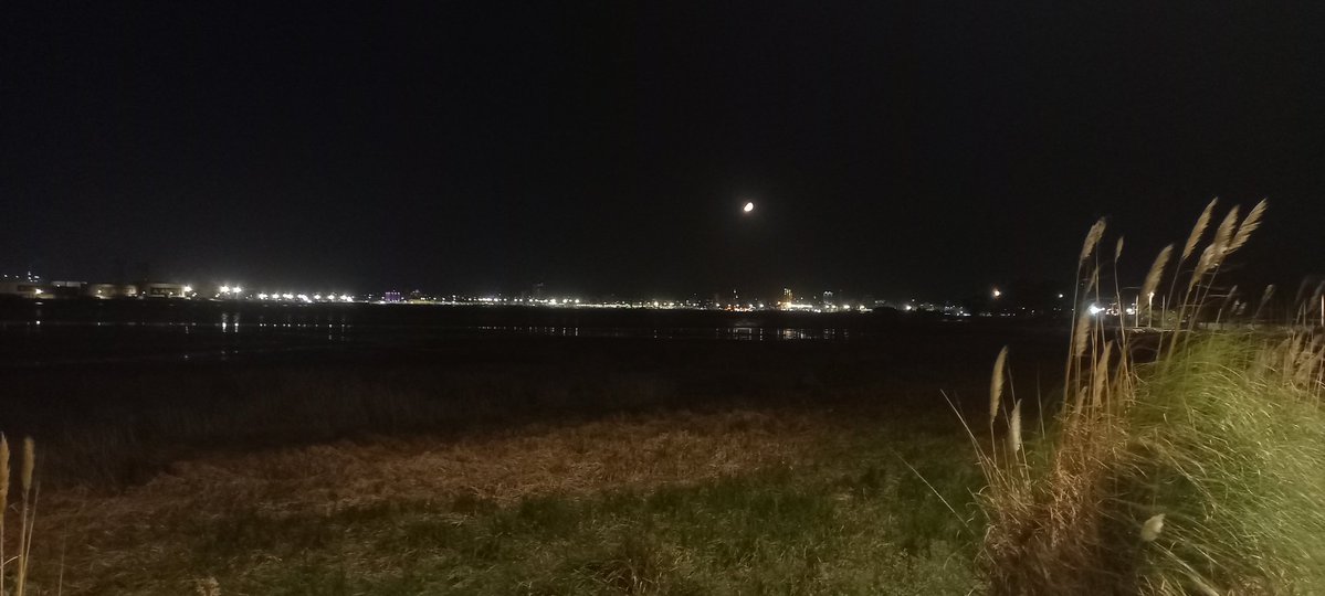 Montevideo desde la bahía del Cerro