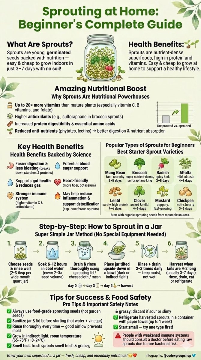 codexgroupshop's tweet photo. #Sprouting at Home: Beginner's Complete Guide   

• Amazing Nutritional Boost 
• Stronger immune system (higher vitamin C &amp; antioxidants) 
• Potential blood sugar support 
• Heart-friendly (more fiber, potassium)  #Sprouts
@codexgroupshop https://t.co/CDwsDwLwid