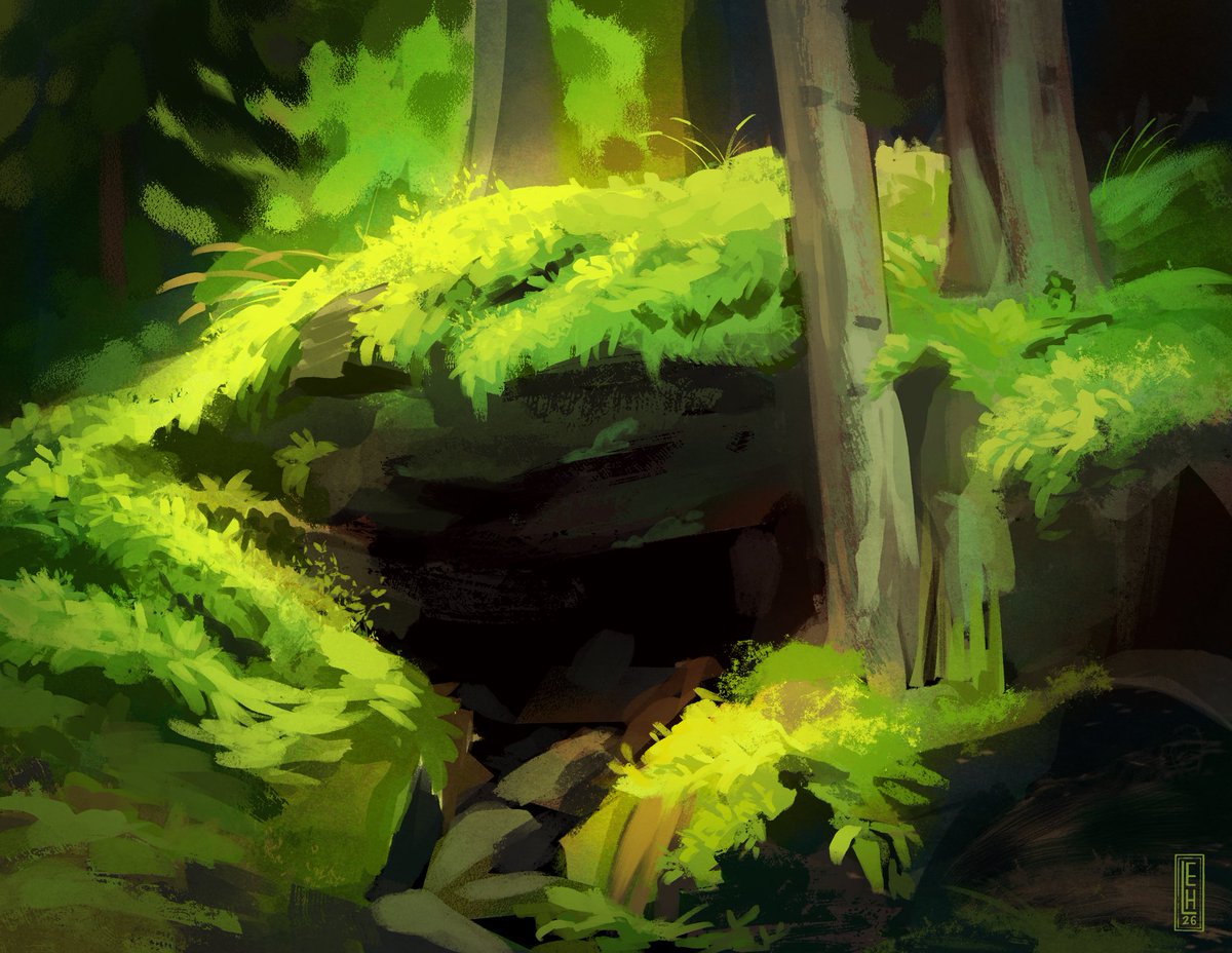mr moss 🌱 tweet media