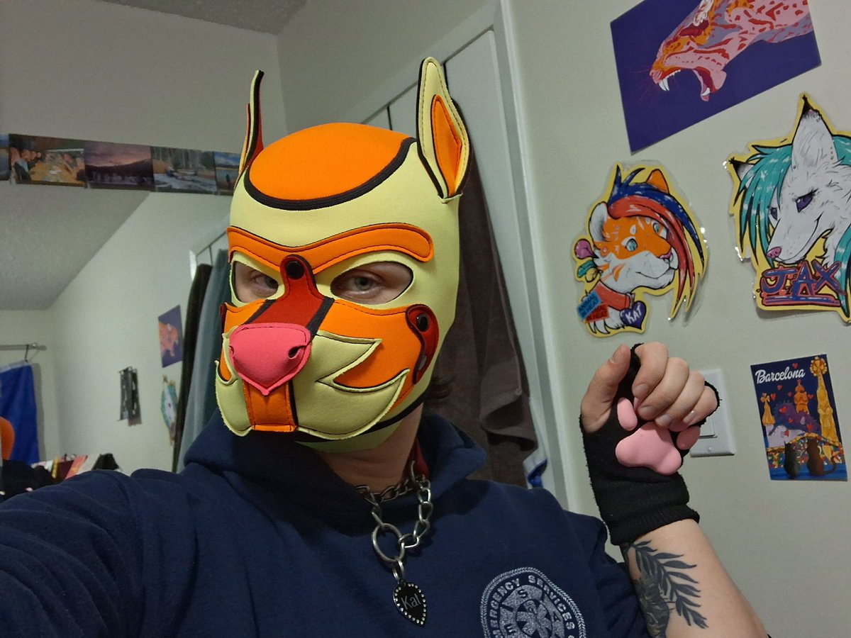 Pup Kat!! SOON🔜FUR-EH!! tweet media