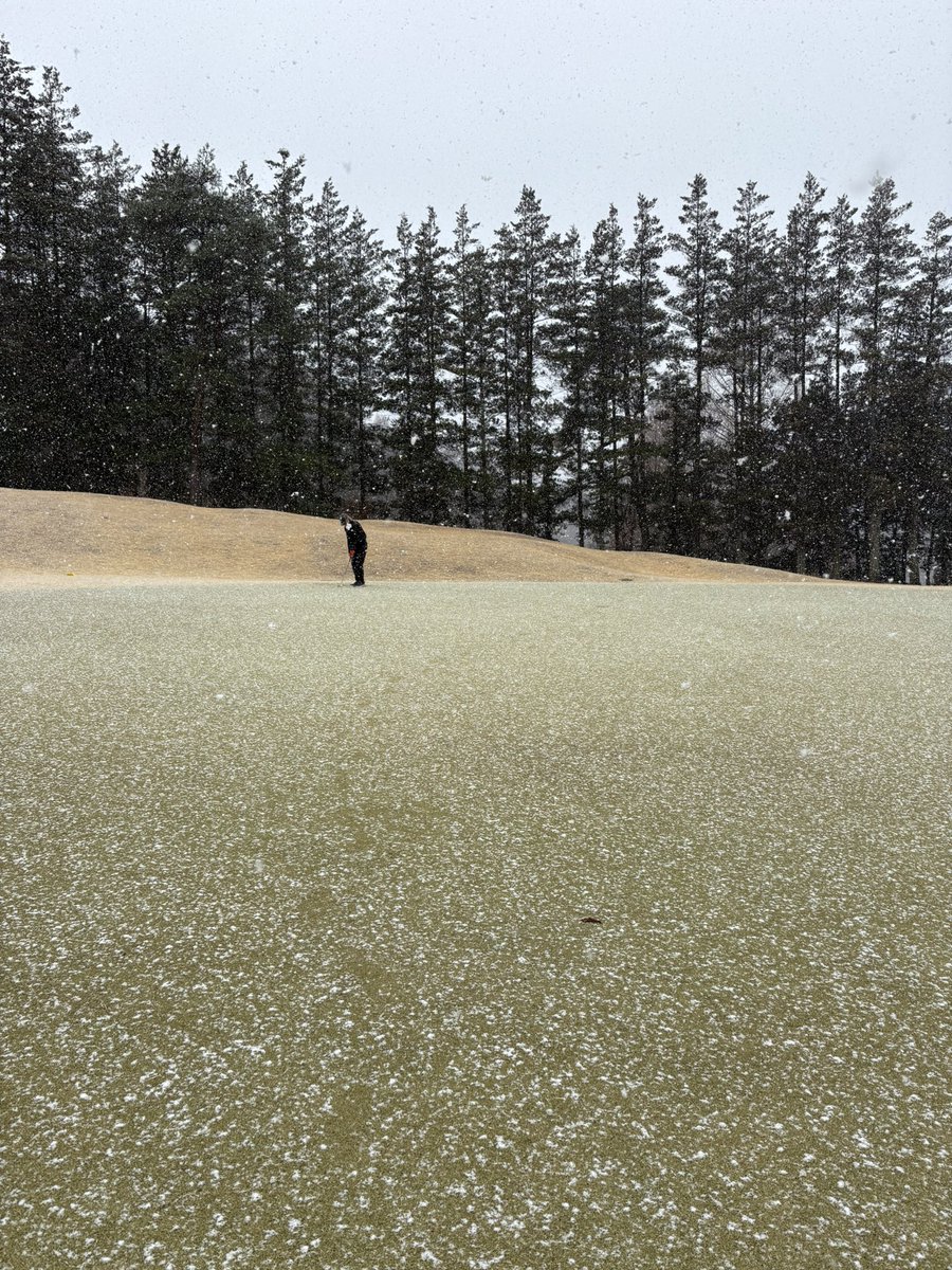 Avi_LvQ's tweet photo. 雪すぎ https://t.co/ib6Glh9yZo