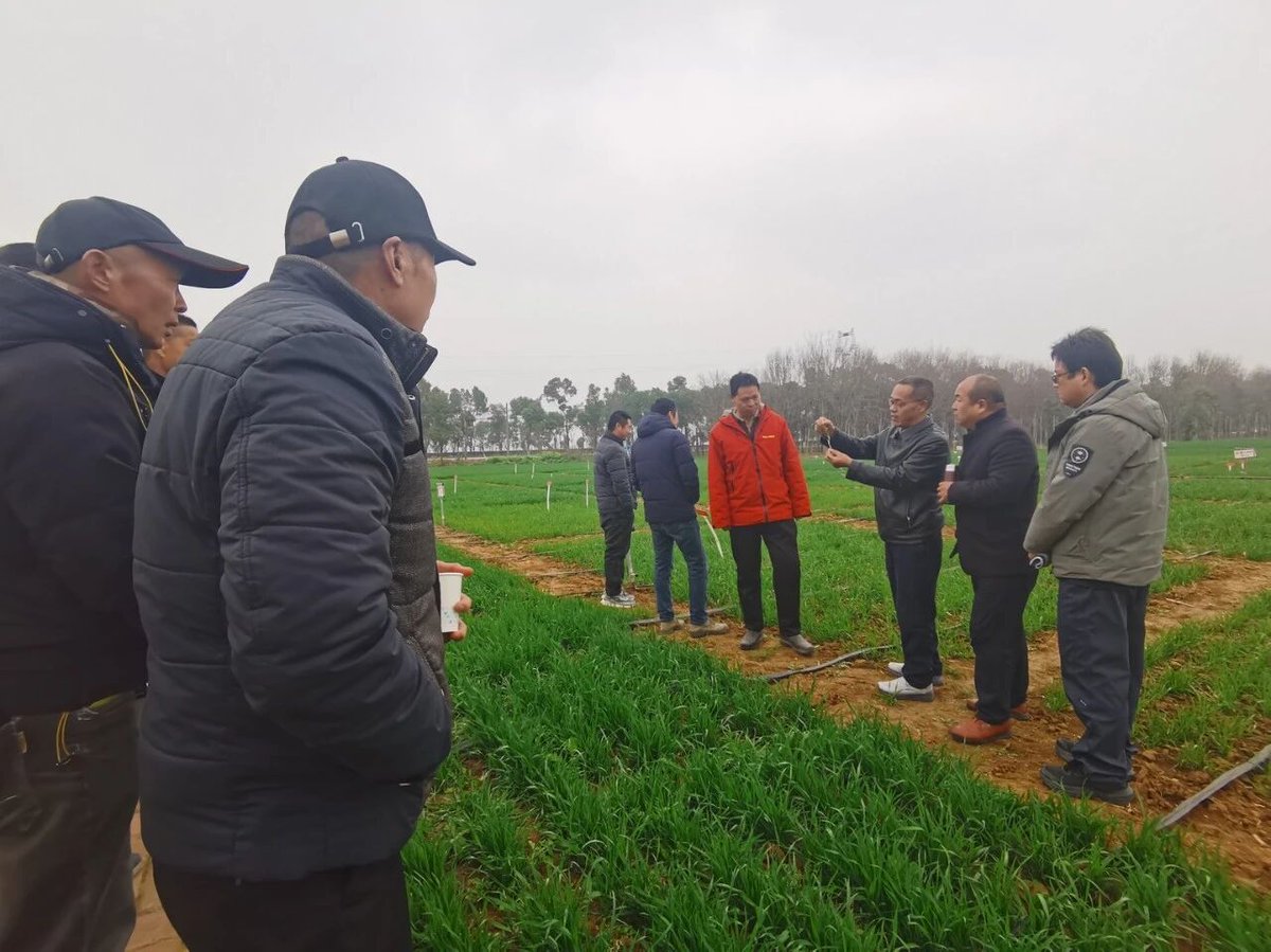 HenanPlus's tweet image. AI is taking over Henan’s fields！
Crop care just got a major upgrade! #Smart irrigation and #precise fertilization boost #efficiency, cut costs, and help wheat grow strong.🌾
Technology is making the fields smarter and food security stronger！
#SmartAg #AI #Henan #FutureFarming
