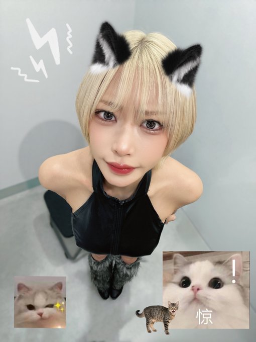 コスプレイヤー西井綾音のTwitter画像1