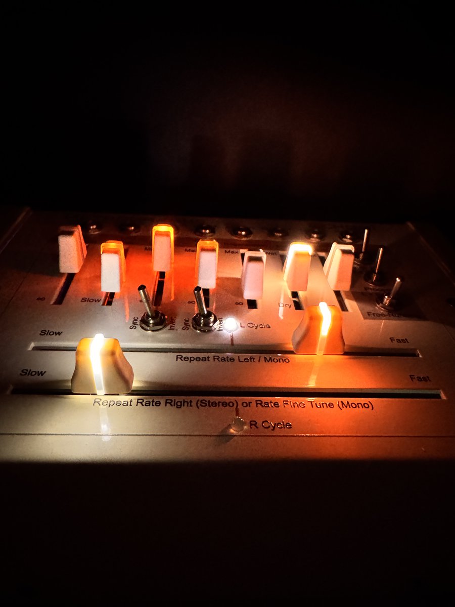 Available now, the Retrogradus Echo-1. True analog, stereo echo machine. store.retrogradusinstruments.com