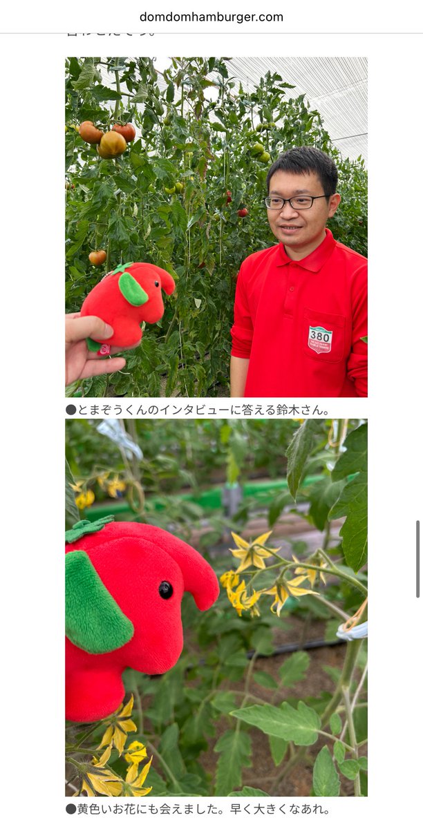 マユキ tweet media