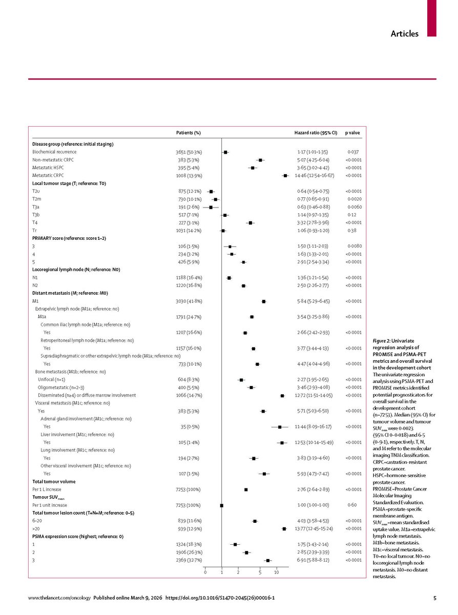 Michael Hofman tweet media