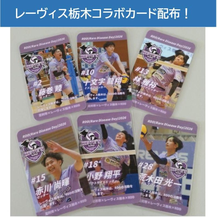 swc_ashikaga's tweet image. #RDD ２０２６限定！
オリジナルコラボカードを作成しました。
３月１４日（土）の#レーヴィス栃木(@Revestochigi )ホームゲーム（vs長野GaRons）会場にて配布いたします。
注意点等は画像をご確認ください。
ぜひお越しください☆
#足利市　#rarediseaseday