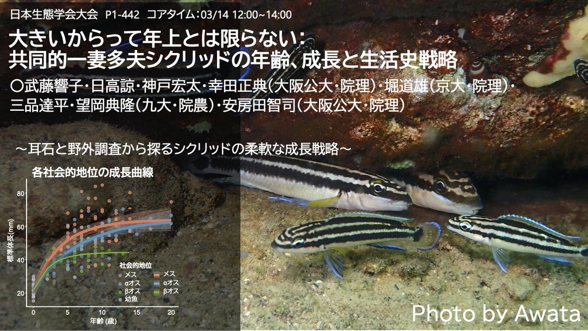 Laboratory of Animal Sociology, OMU, JPN tweet media