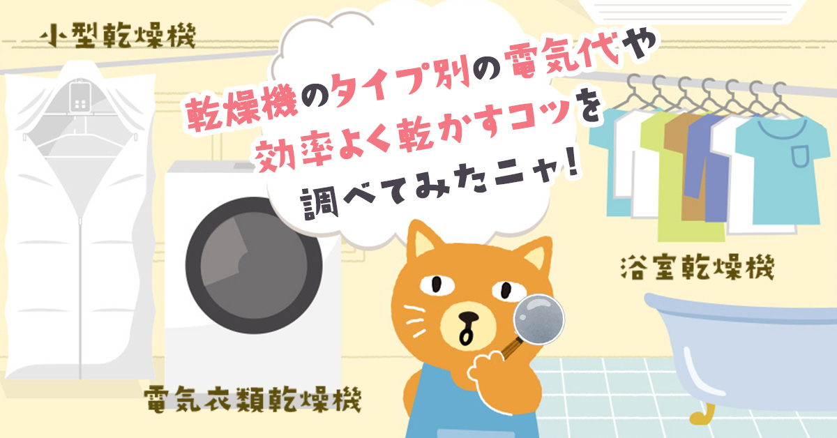 カテエネコ【公式】 (@KateneChuden) / Posts / X
