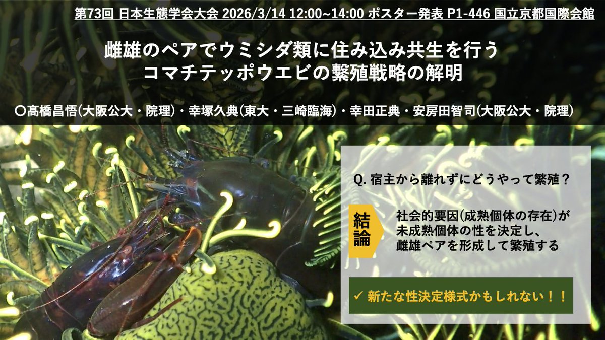 Laboratory of Animal Sociology, OMU, JPN tweet media