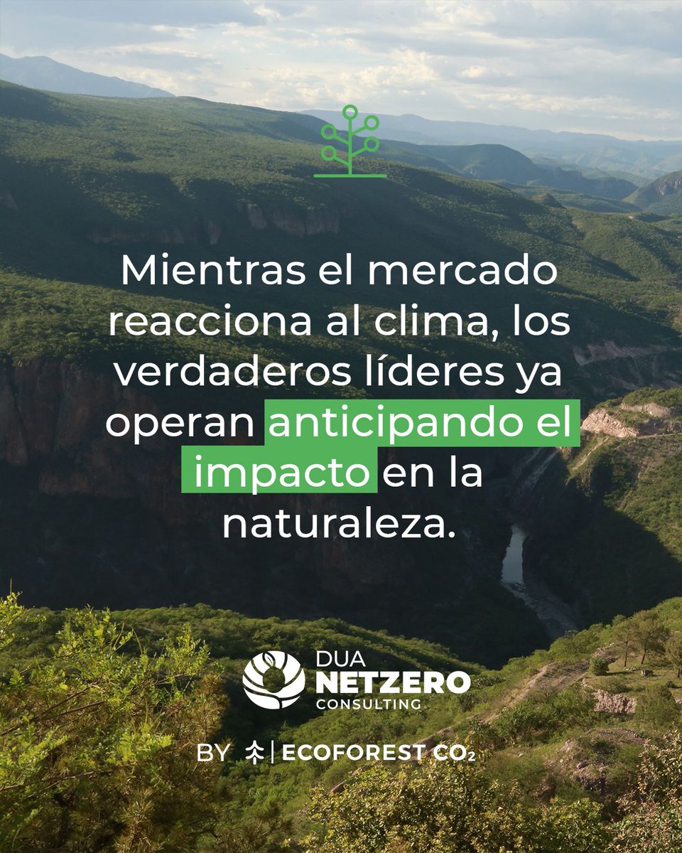 DUA NetZero Consulting tweet media