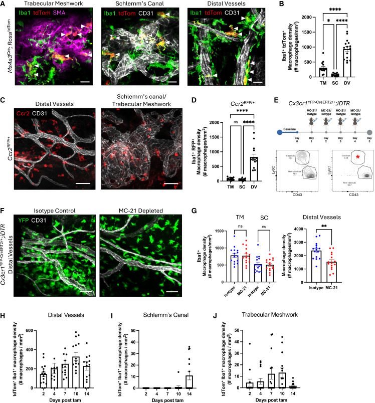 Waggoner Lab tweet media