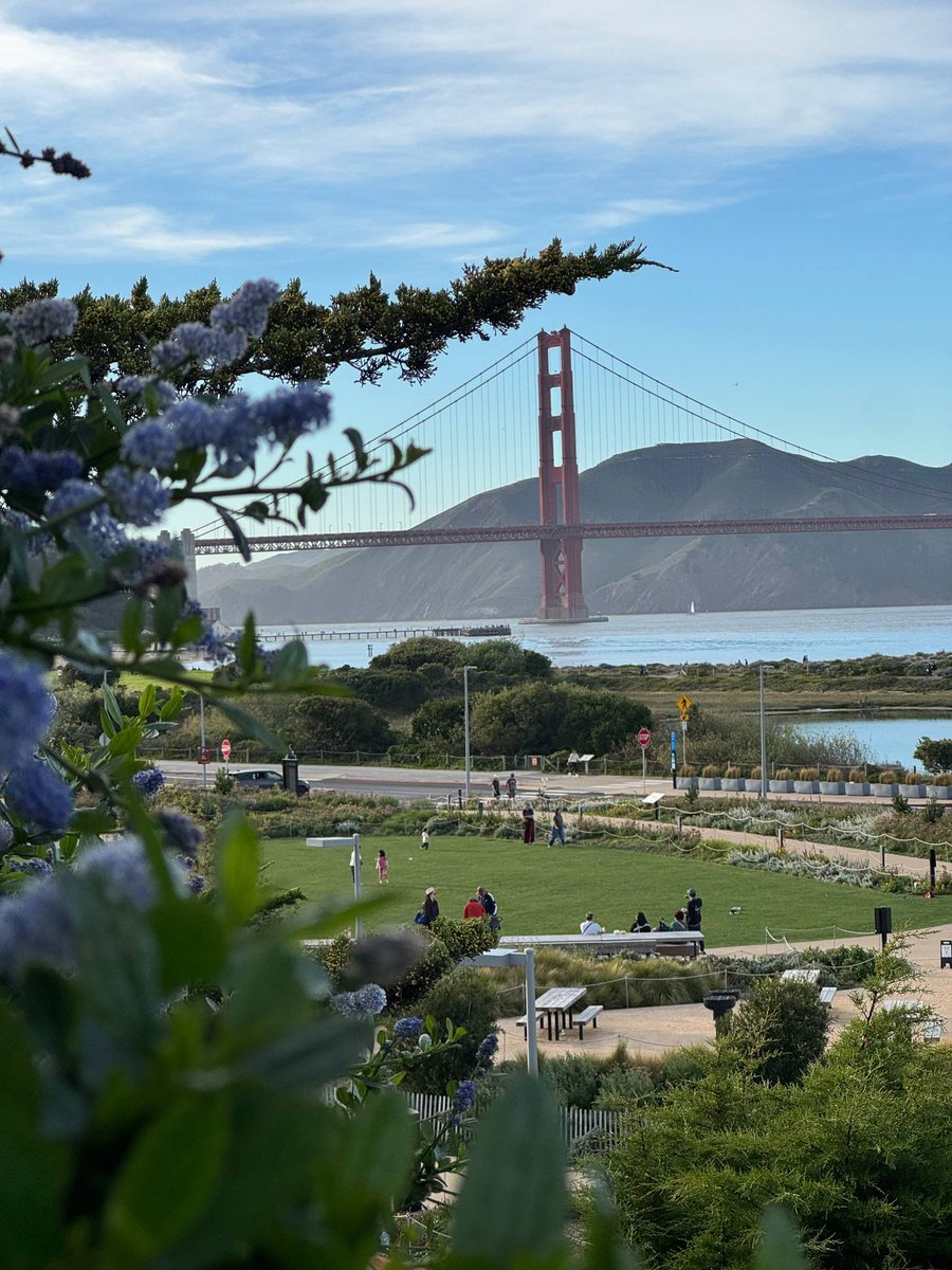 Victoria Melnikova tweet media