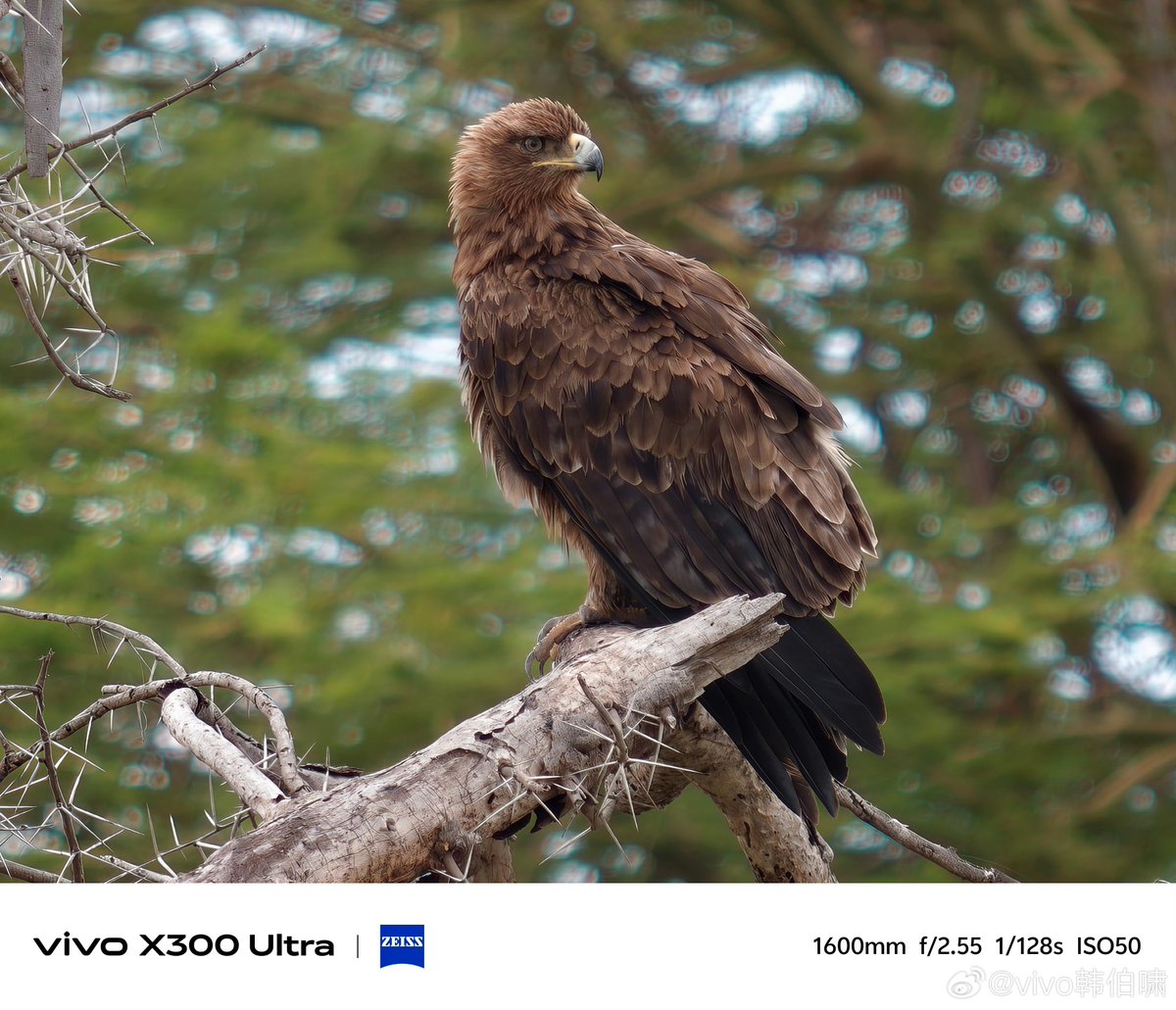 Abhinovv tweet media