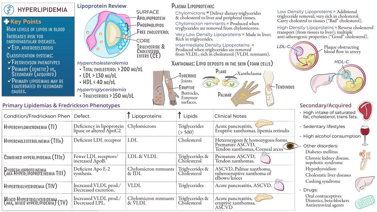 Tuberous Xanthoma
Common causes of tuberous xanthomas include:
Familial Hypercholesterolemia (Type IIa hyperlipoproteinemia) – most classic
Familial Dysbetalipoproteinemia (Type III)
This picture explains everything about hyperlipidemia 
<a href="/IhabFathiSulima/">Dr Ihab Suliman</a> 
<a href="/hemo_shk/">Dr.Haitham Hamoud | د.هيثم</a>