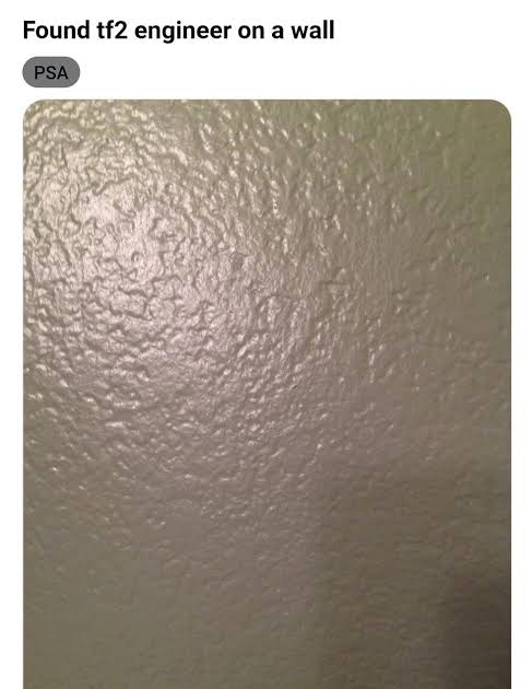 Un boludo tweet media