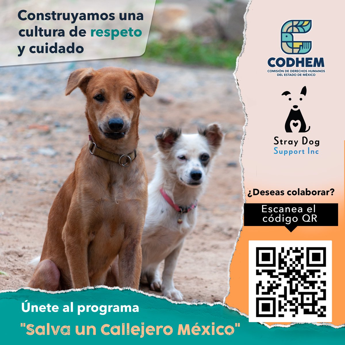 Comisión de Derechos Humanos del Estado de México tweet media