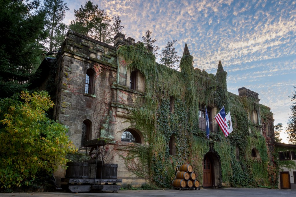 Noble Grape tweet media