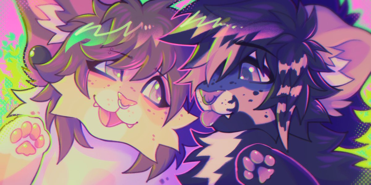 dodent....🐀 tweet media