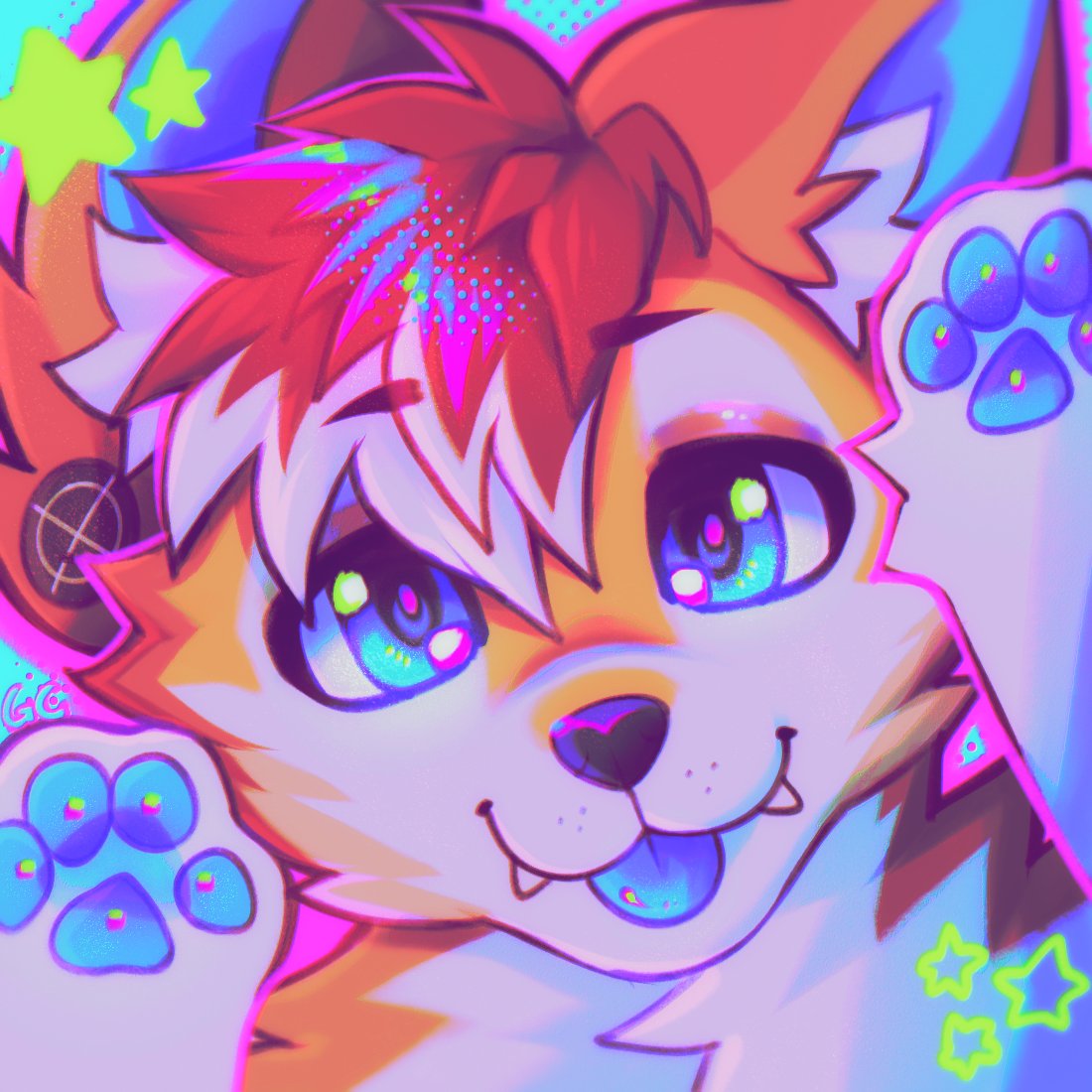 dodent....🐀 tweet media