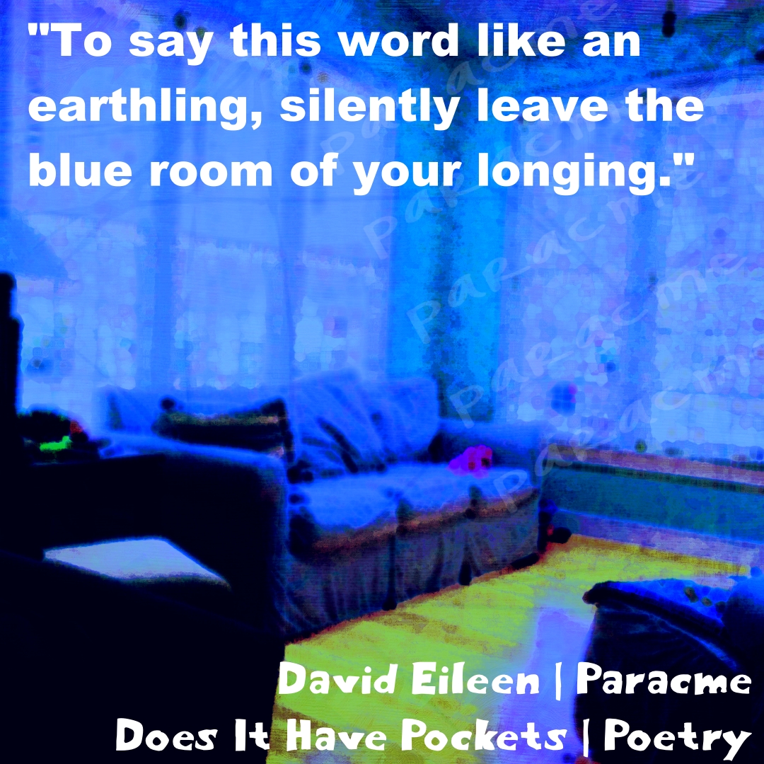 Does It Have Pockets tweet media