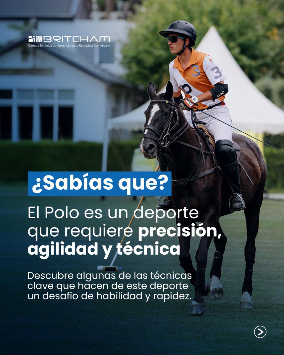 BritchamDR tweet media