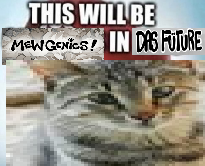 zaratana from hit game mewgenics tweet media