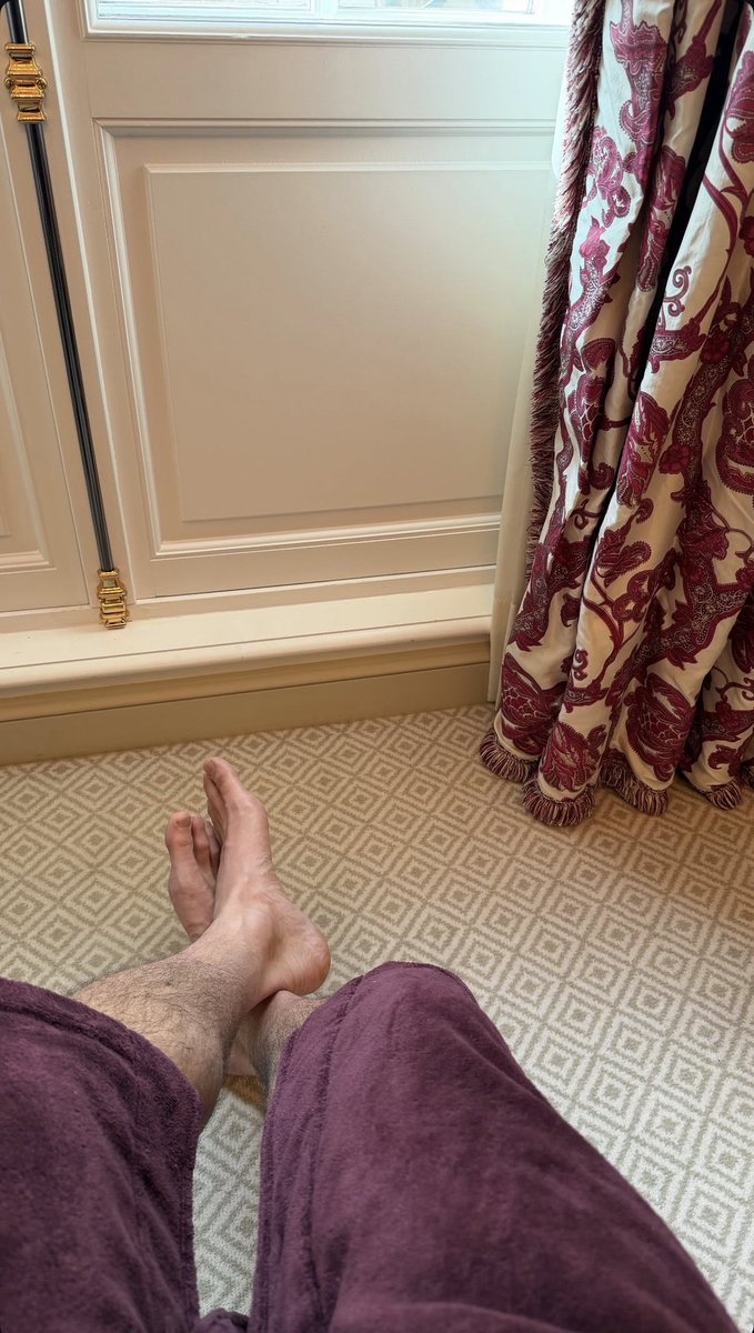 Info Taylor Zakhar Perez tweet media