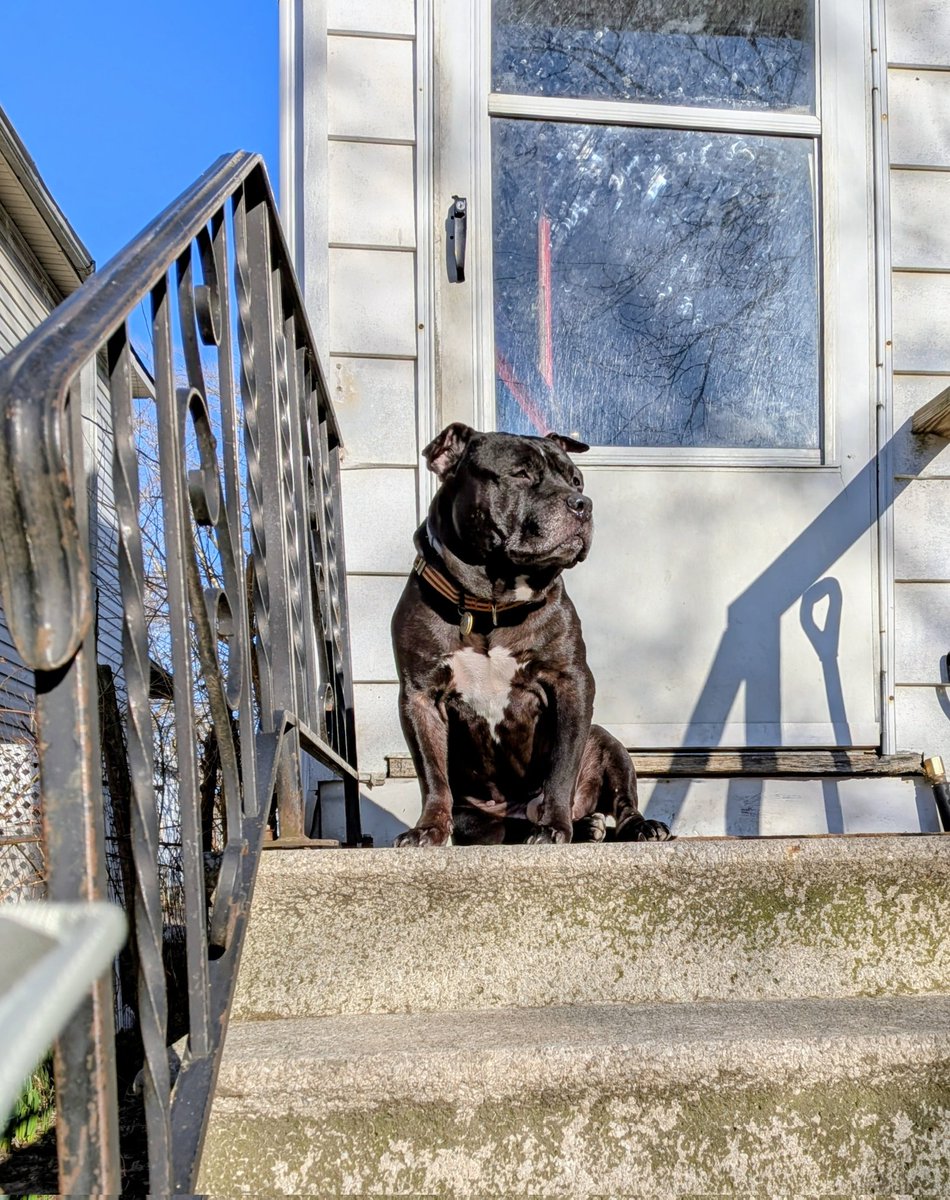 Only Human tweet media