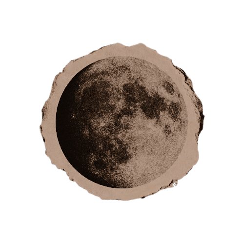 waerwolfs's tweet photo. so, tell m̲e̲, little 𝒘𝒐𝒍𝒇, do you 𝖜𝖆𝖓𝖙 to 𝗽𝘂𝗻𝗶𝘀𝗵 those who have 𝔀𝓻𝓸𝓷𝓰𝓮𝓭 you .ᐣ https://t.co/VkkUD9CFzM