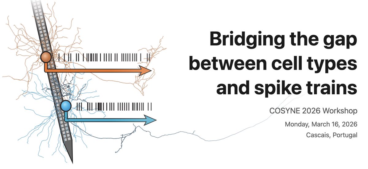 𝐊𝐞𝐧𝐣𝐢 𝐋𝐞𝐞 tweet media