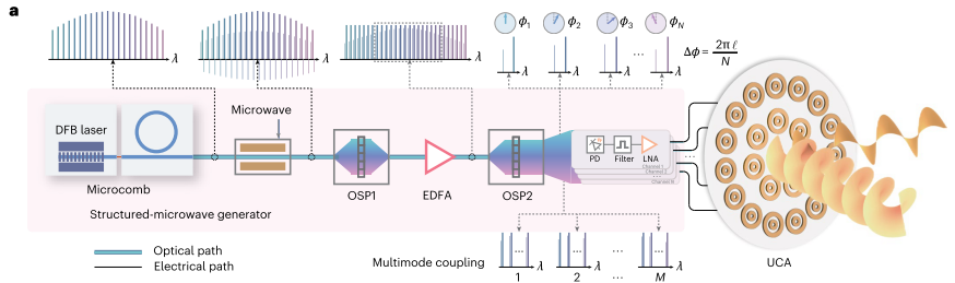 Comb Lab tweet media