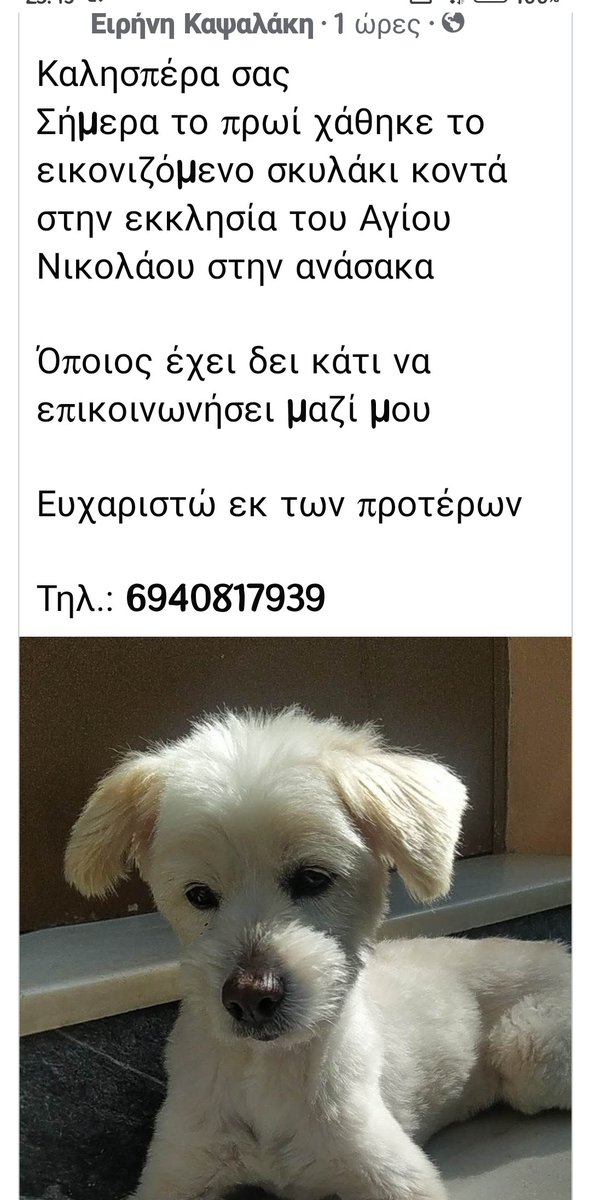 εφη απλα tweet media