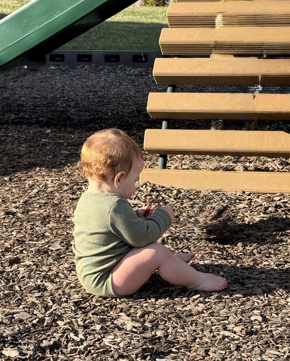 Danielle Franz tweet media