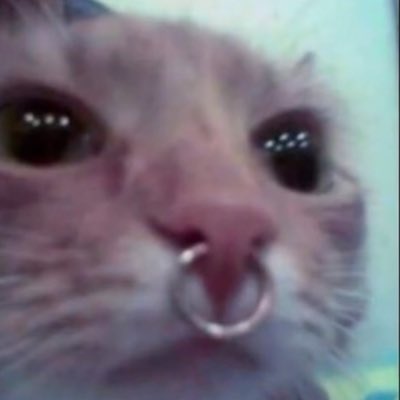 #NewProfilePic