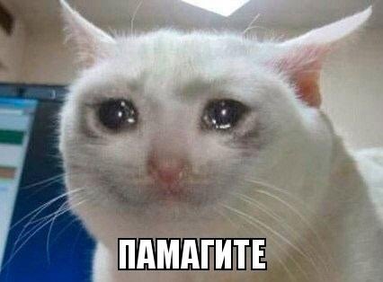 анна такой-то матери tweet media