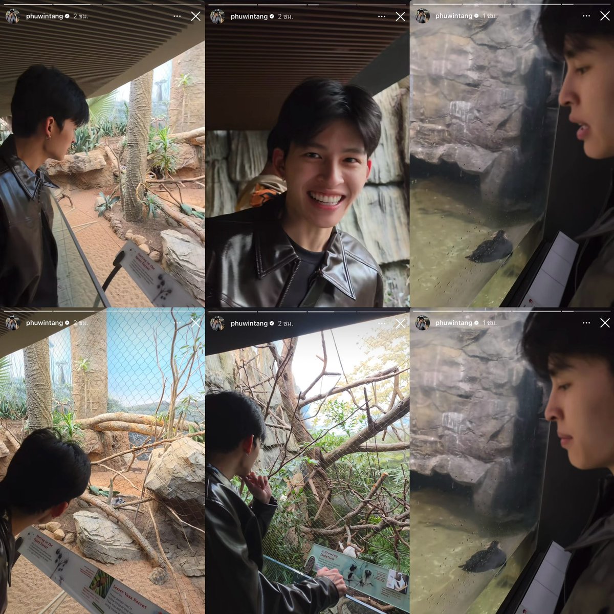 ภูวินเปิดโหมดเลี้ยงปอนด์อีกแล้ว โพมัมหมีน้องปังปอนด์เปิดทำการคับ ถ่ายคลิปปอนด์บ๊อกแบ๊กมาก ปอนด์พูดไรก็หัวเราะชอบใจ 😸🫳🏼🐶