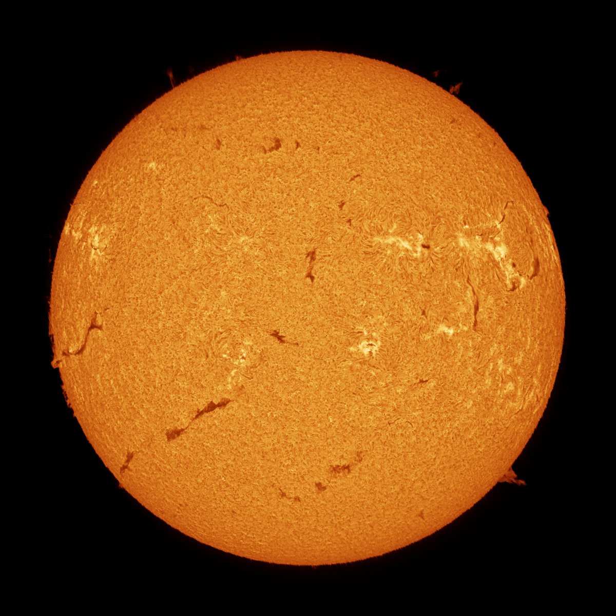 Mario 🪐🌒🌞🌌🔭🐸 tweet media