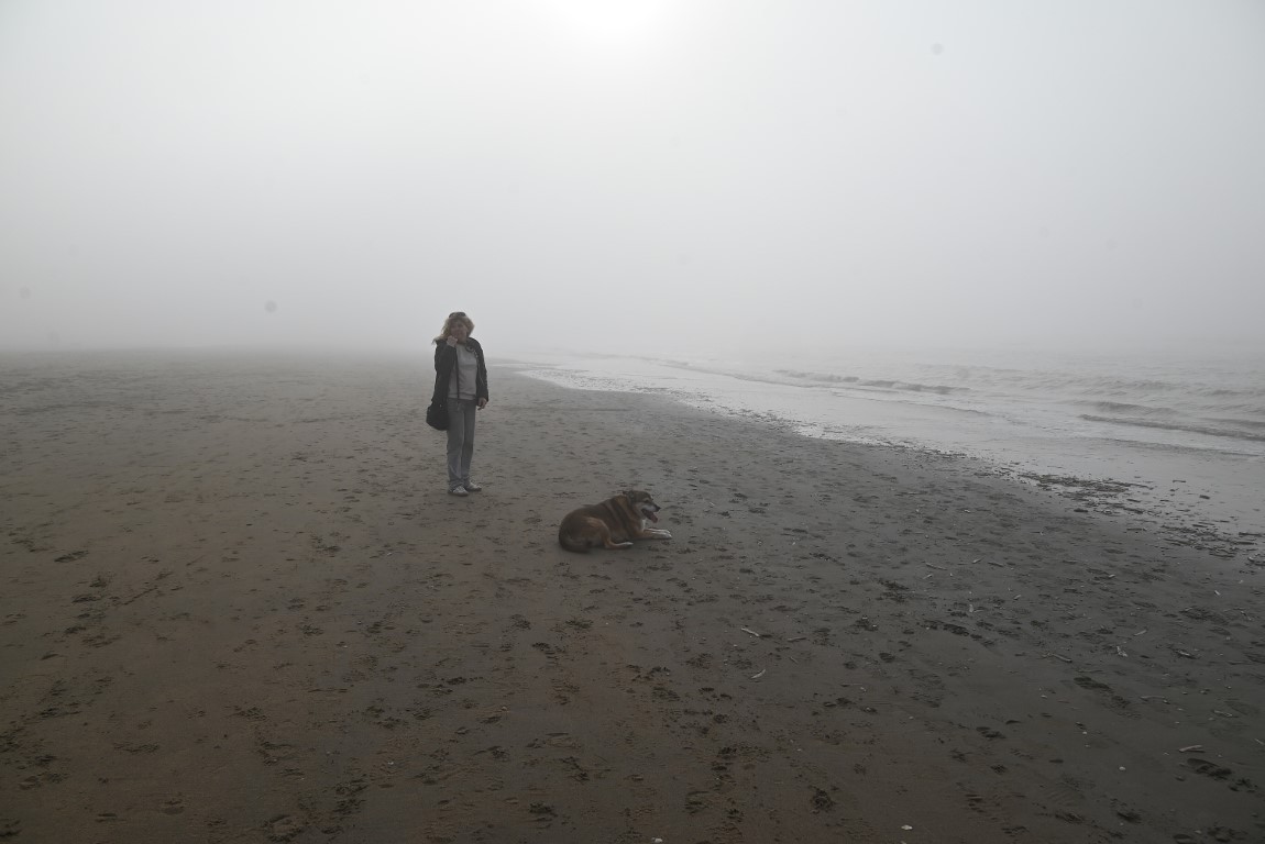 Emile van Aelst tweet media