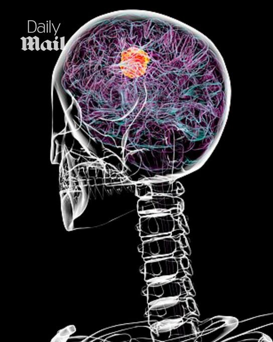 Dom Lucre | Breaker of Narratives tweet media