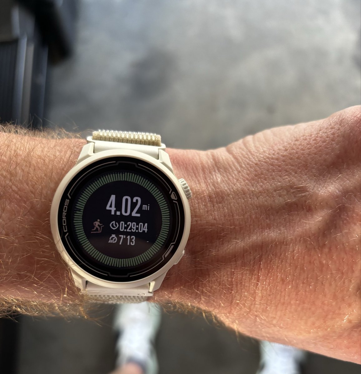 Bigly Bags tweet media