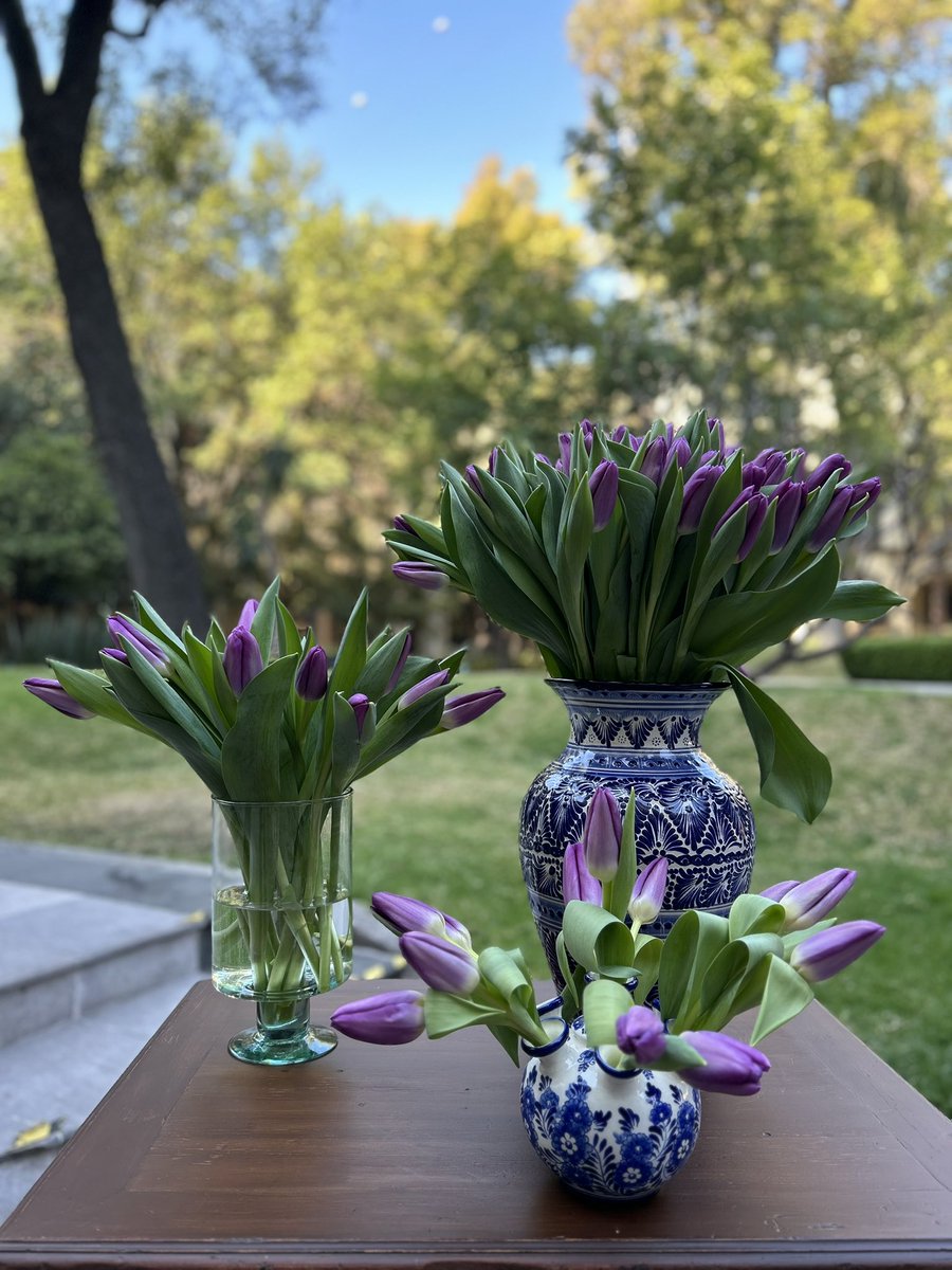 Embajada Países Bajos MX 🇳🇱🇲🇽 tweet media