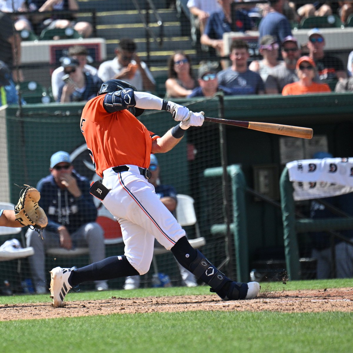 MLB Pipeline tweet media